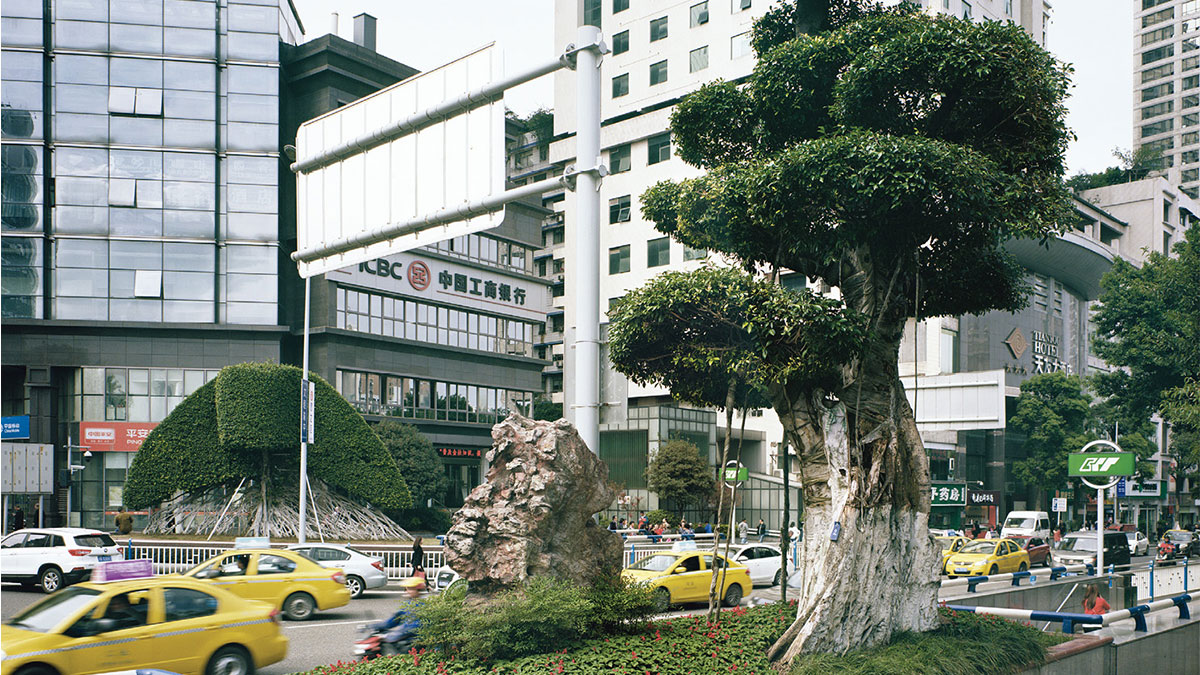 打造更環保的未來，不宜忽視中國