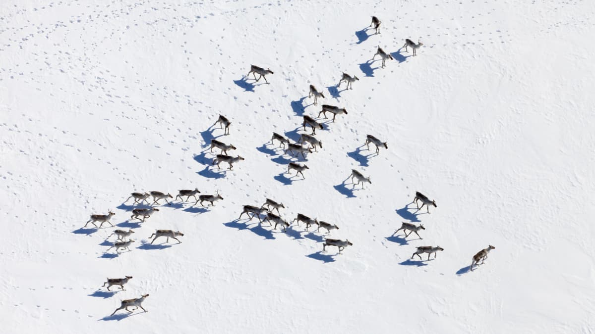 你該自問的七大策略問題