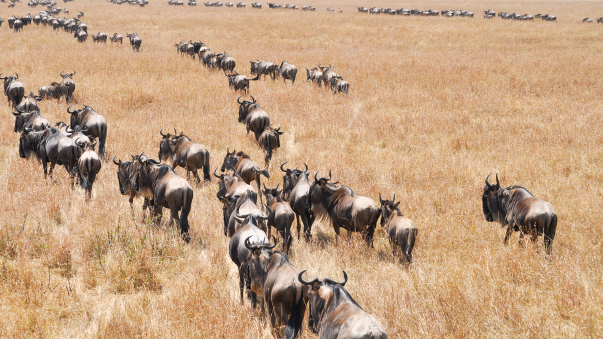 物聯網如何改變商業模式