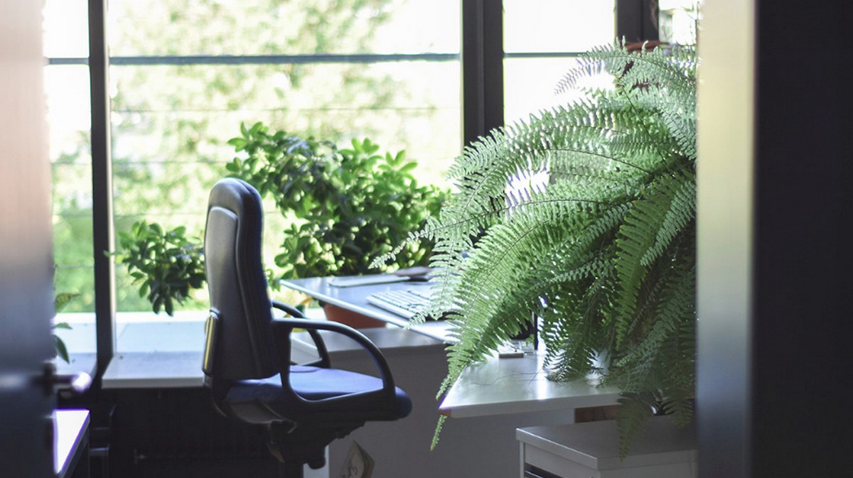 辦公室最大的福利是「窗外有藍天」