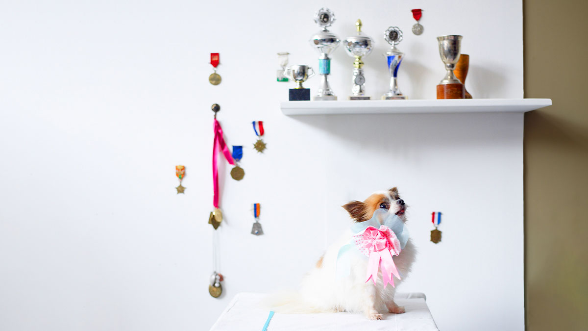 不是老闆愛將也無妨，掌握 5 大原則仍能拓展前途