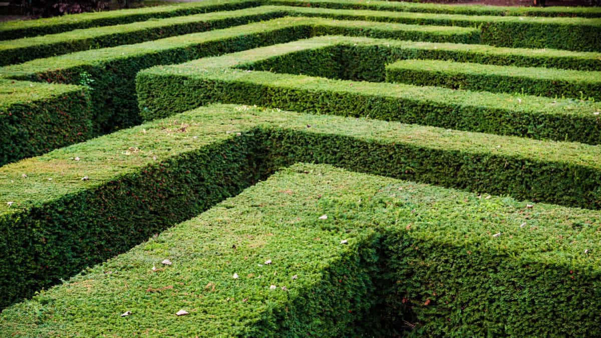 你知道自己真的瞭解什麼嗎？