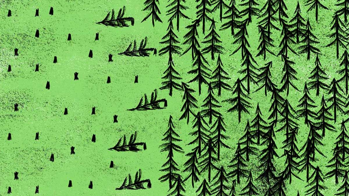 塑造2016年的9個永續企業故事