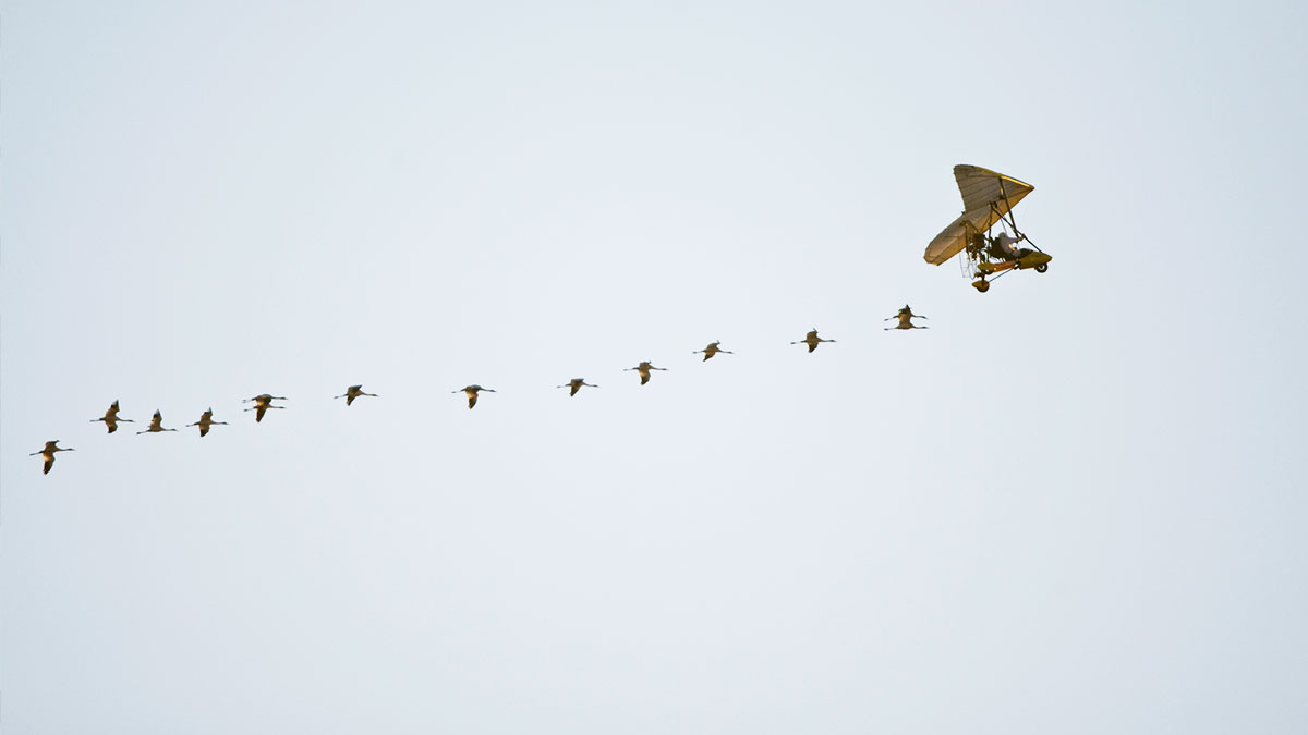 除了領導力，還要有技術力