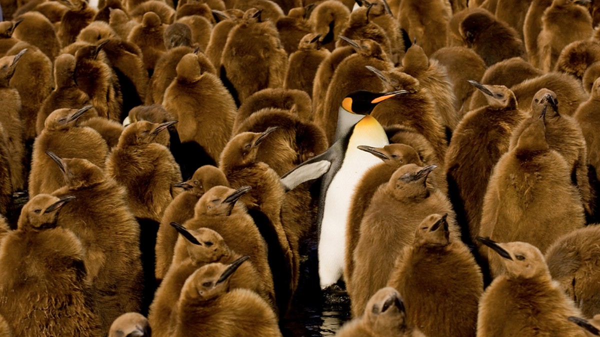 四大策略助你順利轉換到新環境！別讓文化差異成為新職絆腳石