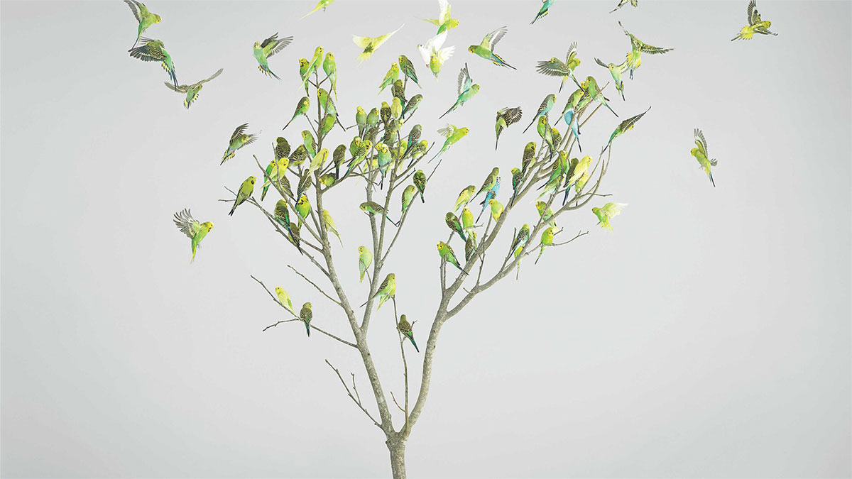 在人生路上，找到你的「神隊友」