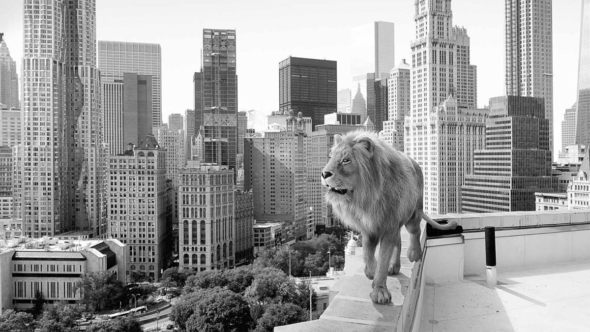 永續長蛻變四重奏