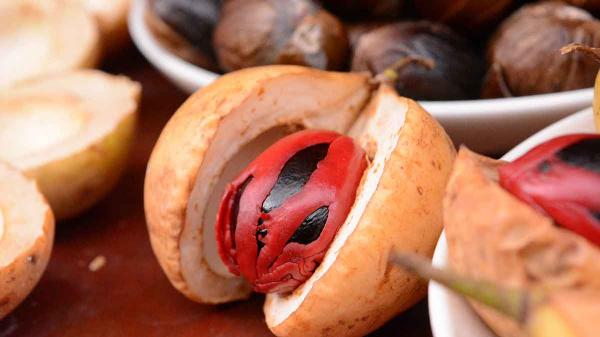 前執行長回鍋大作戰