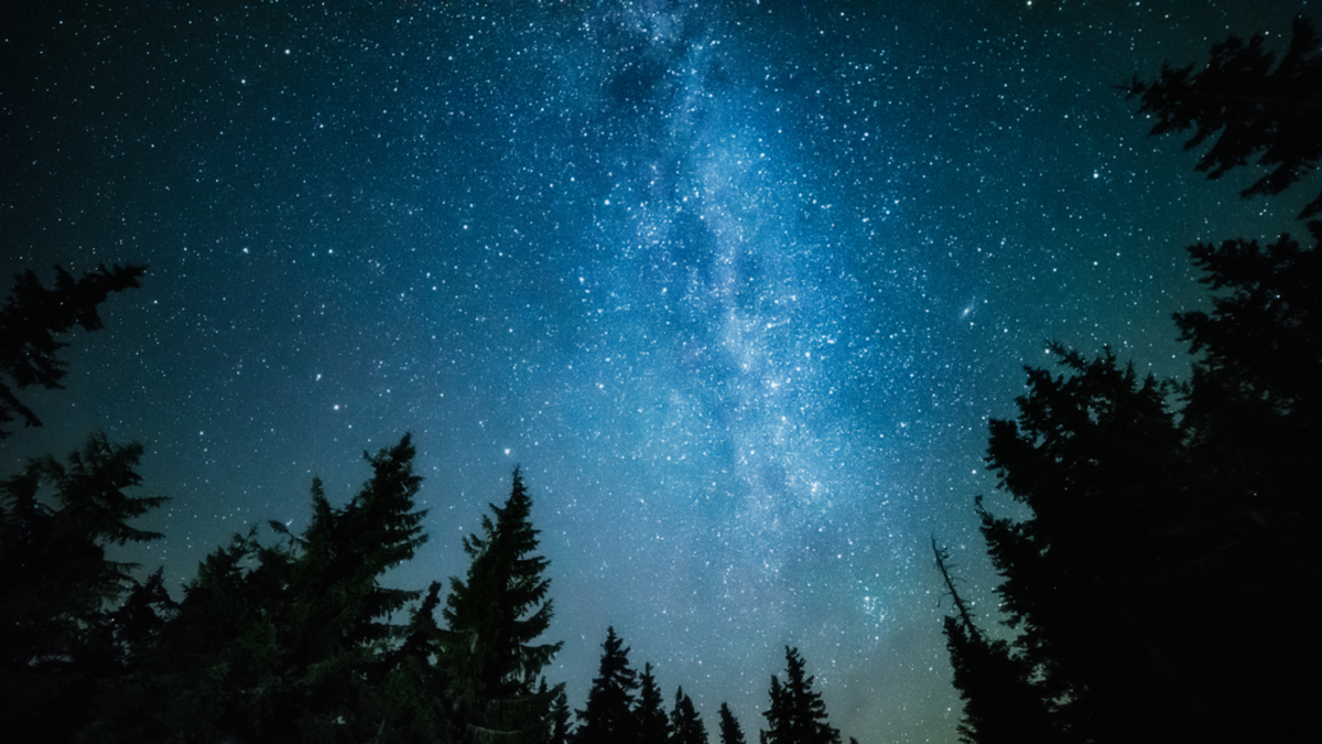 五種找出大膽想法的強力技能