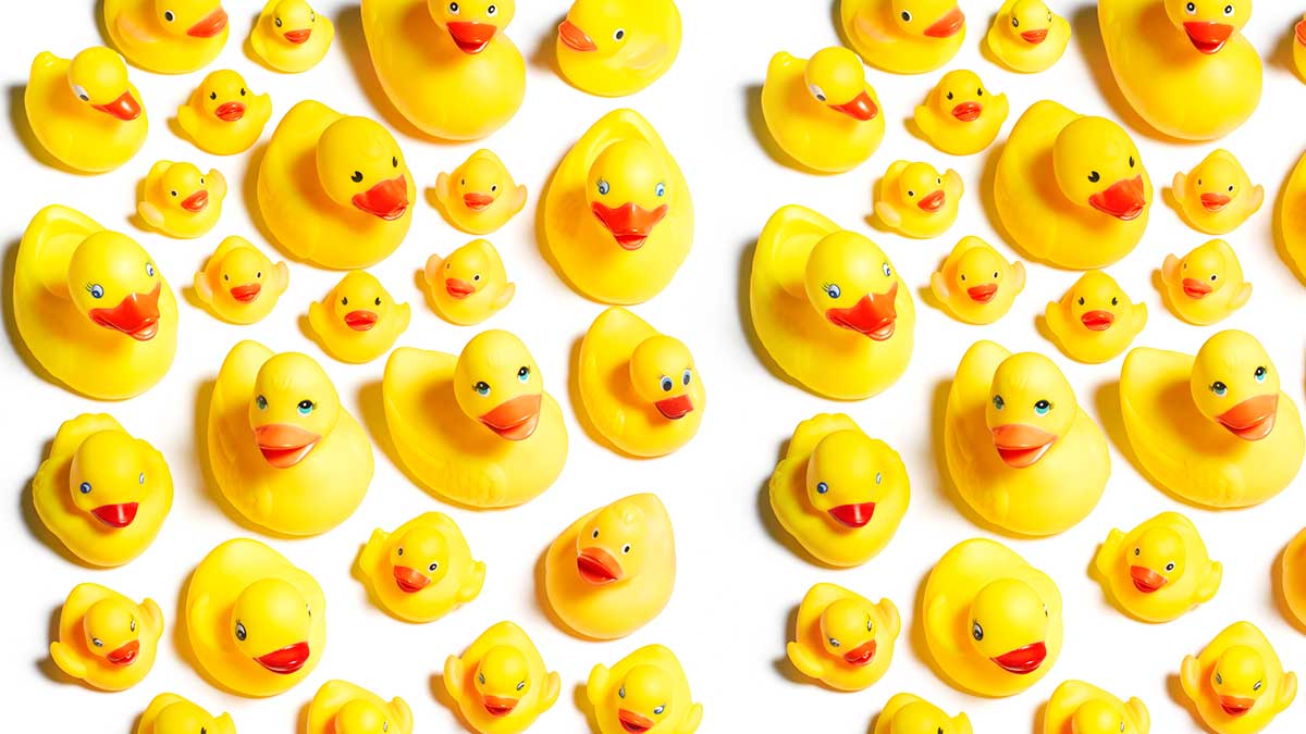 七大原則讓執行長順利交棒