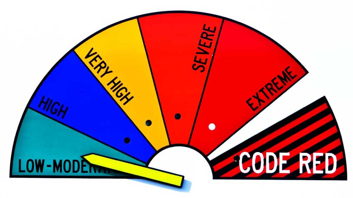 停止讓季報數字左右你的策略