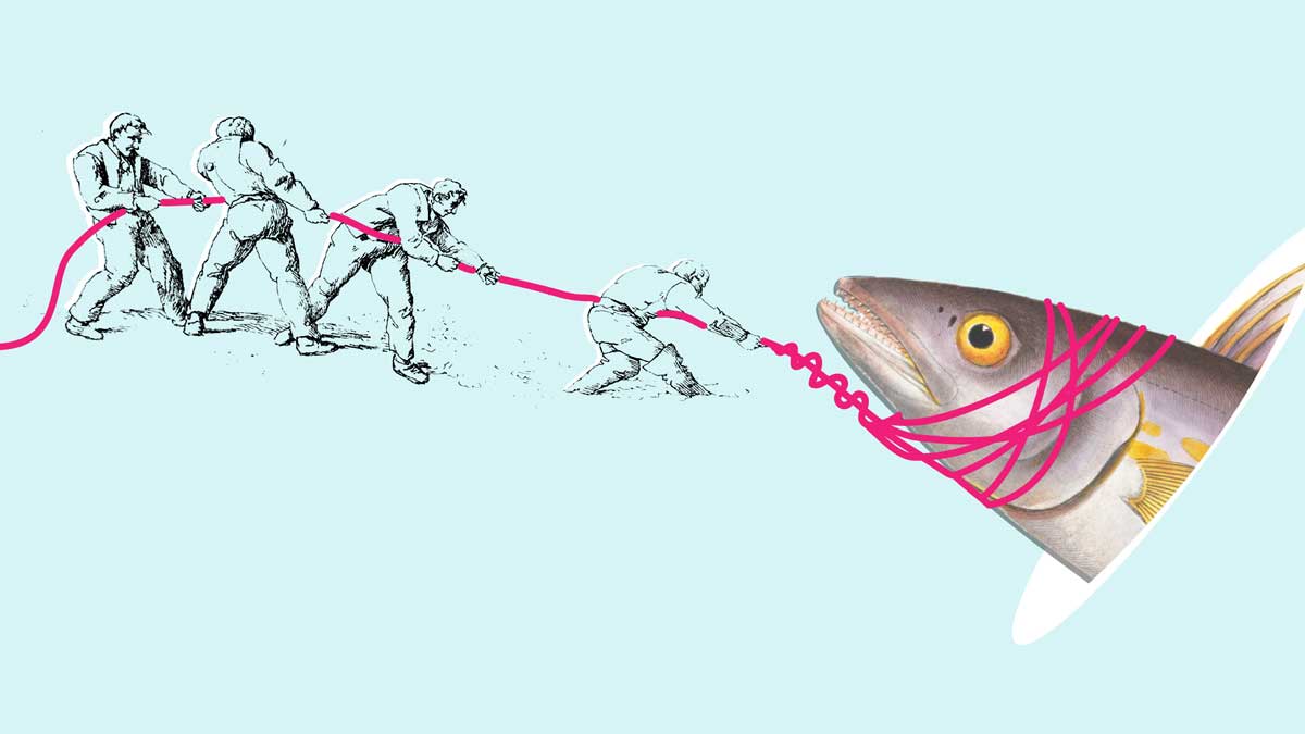 最佳問題解決團隊的兩大特點