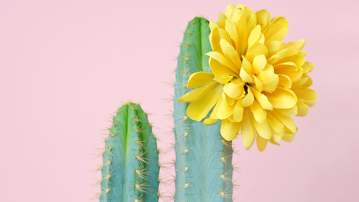 愈感激的員工愈誠實