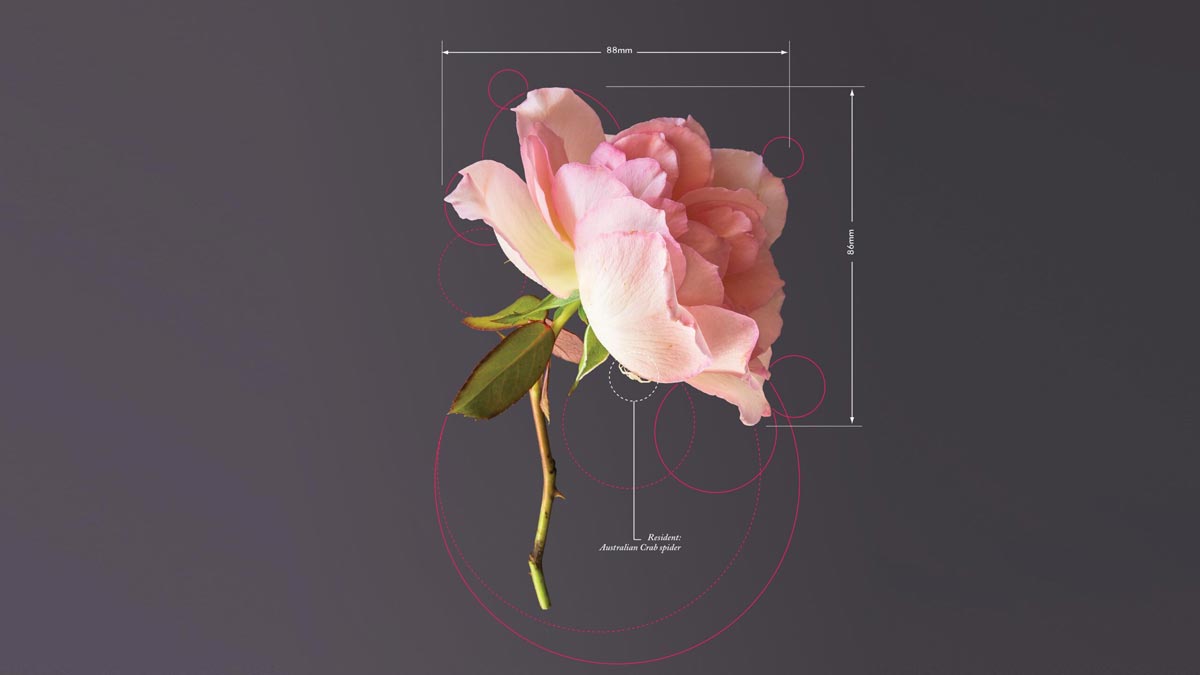 ESG目標與財務績效可以兼得